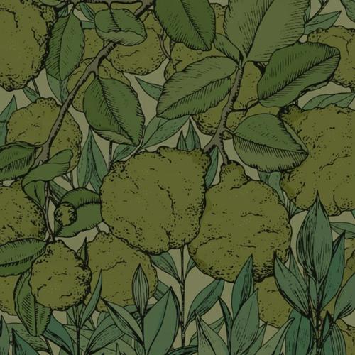 Духи для дома Бергамот зеленый чай